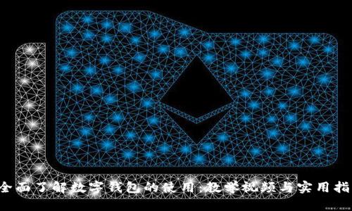  全面了解数字钱包的使用：教学视频与实用指南