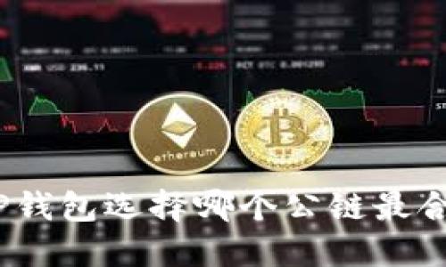 : TP钱包选择哪个公链最合适？