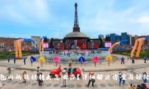 TP钱包内的钱被转走怎么办？详细解决方案与预防措施