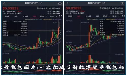 数字货币之母钱包图片：一文彻底了解数字货币钱包的类型与功能